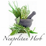 Neapolitan Herb "Herbs of Naples" Aged Dark Balsamic Condimento