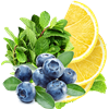 Perfect Pairing Special: Blueberry Balsamic Vinegar & Italian Lemon Olive Oil - 2 250ml bottles