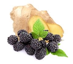 Blackberry-Ginger Aged Dark Balsamic Condimento