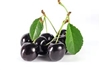 Black Cherry Aged Dark Balsamic Condimento