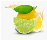 LemonLime Pairing Special: Persian Lime Extra Virgin Olive Oil & Sicilian Lemon White Balsamic Vinegar